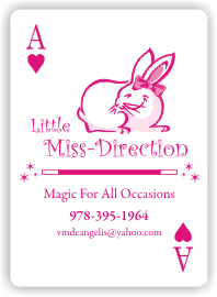 Little Miss-Direction